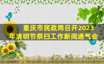 重庆市民政局召开2023年清明节祭扫工作新闻通气会
