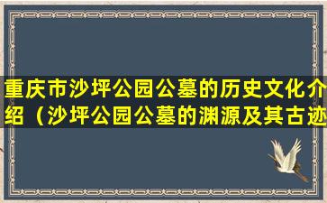 重庆市沙坪公园公墓的历史文化介绍（沙坪公园公墓的渊源及其古迹）
