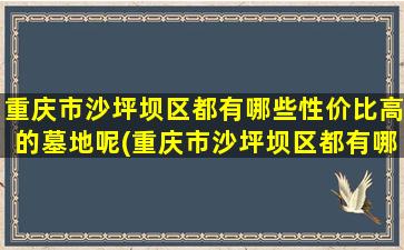 重庆市沙坪坝区都有哪些性价比高的墓地呢(重庆市沙坪坝区都有哪些性价比高的墓地在哪里)