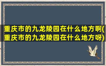 重庆市的九龙陵园在什么地方啊(重庆市的九龙陵园在什么地方呀)