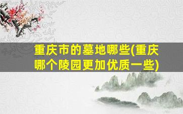重庆市的墓地哪些(重庆哪个陵园更加优质一些)