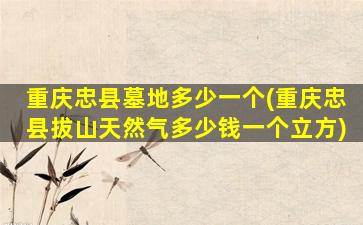 重庆忠县墓地多少一个(重庆忠县拔山天然气多少钱一个立方)