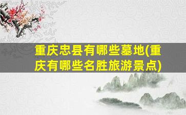 重庆忠县有哪些墓地(重庆有哪些名胜旅游景点)