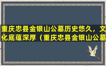 重庆忠县金银山公墓历史悠久，文化底蕴深厚（重庆忠县金银山公墓古迹介绍）