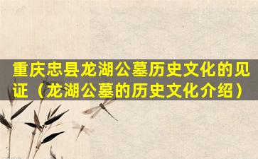 重庆忠县龙湖公墓历史文化的见证（龙湖公墓的历史文化介绍）