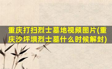 重庆打扫烈士墓地视频图片(重庆沙坪垻烈士墓什么时候解封)