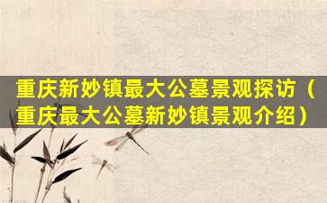 重庆新妙镇最大公墓景观探访（重庆最大公墓新妙镇景观介绍）