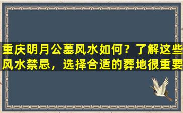 重庆明月公墓风水如何？了解这些风水禁忌，选择合适的葬地很重要！
