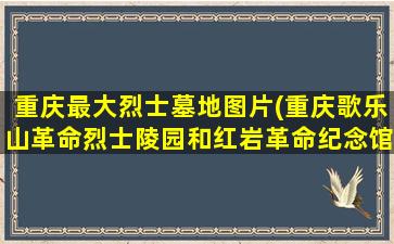 重庆最大烈士墓地图片(重庆歌乐山革命烈士陵园和红岩革命纪念馆导游词)