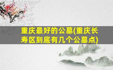 重庆最好的公墓(重庆长寿区到底有几个公墓点)