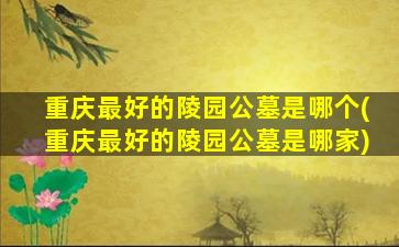 重庆最好的陵园公墓是哪个(重庆最好的陵园公墓是哪家)