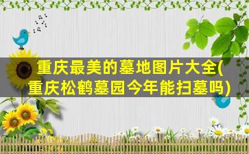 重庆最美的墓地图片大全(重庆松鹤墓园今年能扫墓吗)