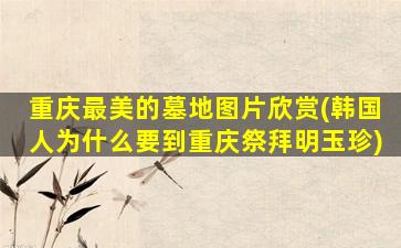 重庆最美的墓地图片欣赏(韩国人为什么要到重庆祭拜明玉珍)