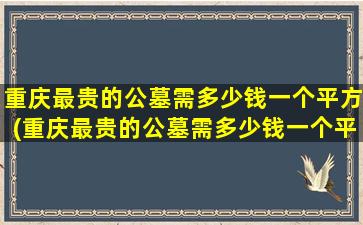 重庆最贵的公墓需多少钱一个平方(重庆最贵的公墓需多少钱一个平方米)