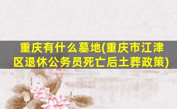 重庆有什么墓地(重庆市江津区退休公务员死亡后土葬政策)