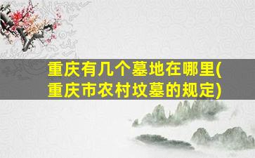重庆有几个墓地在哪里(重庆市农村坟墓的规定)