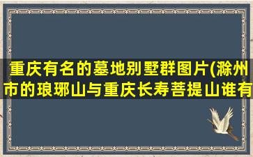重庆有名的墓地别墅群图片(滁州市的琅琊山与重庆长寿菩提山谁有名)