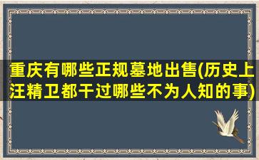 重庆有哪些正规墓地出售(历史上汪精卫都干过哪些不为人知的事)
