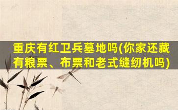 重庆有红卫兵墓地吗(你家还藏有粮票、布票和老式缝纫机吗)
