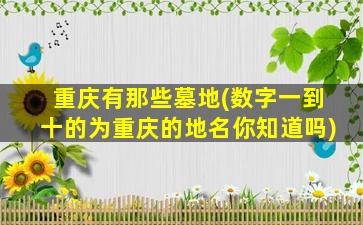 重庆有那些墓地(数字一到十的为重庆的地名你知道吗)