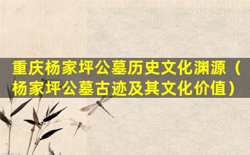 重庆杨家坪公墓历史文化渊源（杨家坪公墓古迹及其文化价值）