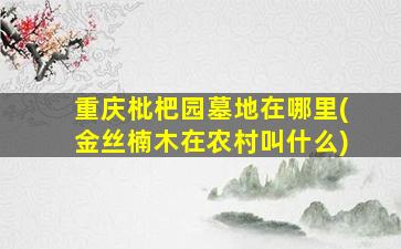 重庆枇杷园墓地在哪里(金丝楠木在农村叫什么)