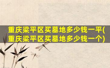 重庆梁平区买墓地多少钱一平(重庆梁平区买墓地多少钱一个)