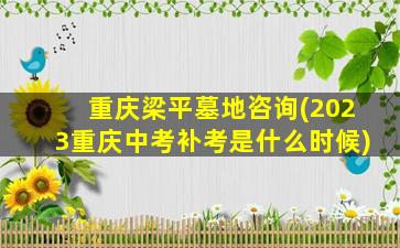 重庆梁平墓地咨询(2023重庆中考补考是什么时候)