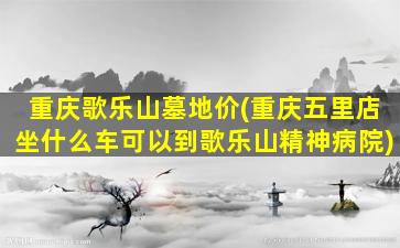 重庆歌乐山墓地价(重庆五里店坐什么车可以到歌乐山精神病院)