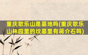 重庆歌乐山是墓地吗(重庆歌乐山林园里的坟墓里有蒋介石吗)
