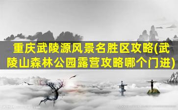 重庆武陵源风景名胜区攻略(武陵山森林公园露营攻略哪个门进)