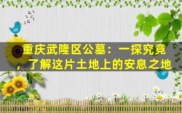 重庆武隆区公墓：一探究竟，了解这片土地上的安息之地