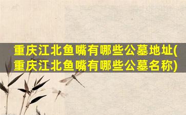 重庆江北鱼嘴有哪些公墓地址(重庆江北鱼嘴有哪些公墓名称)