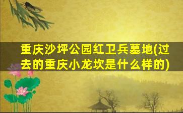 重庆沙坪公园红卫兵墓地(过去的重庆小龙坎是什么样的)