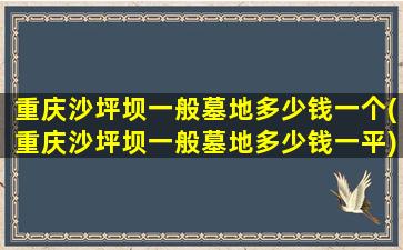 重庆沙坪坝一般墓地多少钱一个(重庆沙坪坝一般墓地多少钱一平)