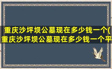 重庆沙坪坝公墓现在多少钱一个(重庆沙坪坝公墓现在多少钱一个平方)