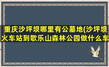 重庆沙坪坝哪里有公墓地(沙坪坝火车站到歌乐山森林公园做什么车)
