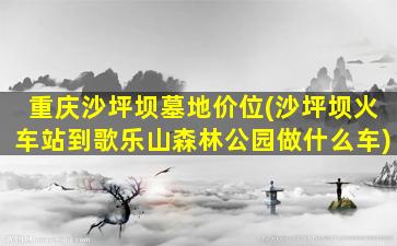 重庆沙坪坝墓地价位(沙坪坝火车站到歌乐山森林公园做什么车)