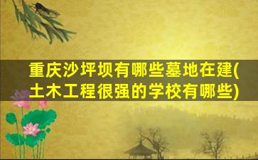 重庆沙坪坝有哪些墓地在建(土木工程很强的学校有哪些)