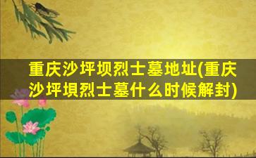 重庆沙坪坝烈士墓地址(重庆沙坪垻烈士墓什么时候解封)