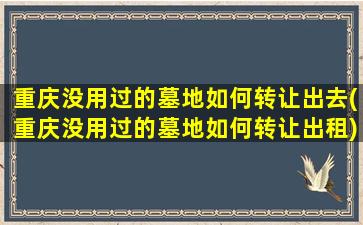 重庆没用过的墓地如何转让出去(重庆没用过的墓地如何转让出租)
