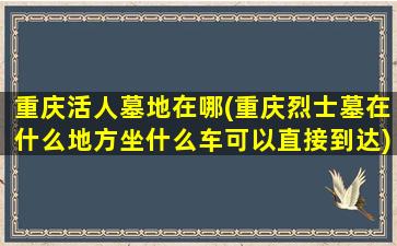 重庆活人墓地在哪(重庆烈士墓在什么地方坐什么车可以直接到达)