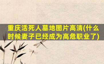 重庆活死人墓地图片高清(什么时候妻子已经成为高危职业了)