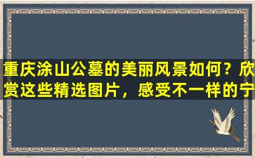 重庆涂山公墓的美丽风景如何？欣赏这些精选图片，感受不一样的宁静