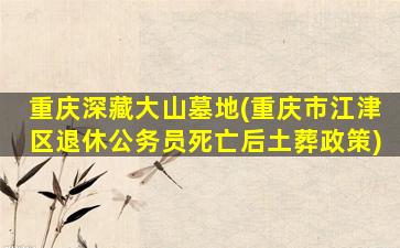 重庆深藏大山墓地(重庆市江津区退休公务员死亡后土葬政策)
