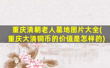 重庆清朝老人墓地图片大全(重庆大清铜币的价值是怎样的)