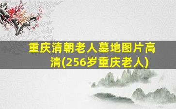 重庆清朝老人墓地图片高清(256岁重庆老人)