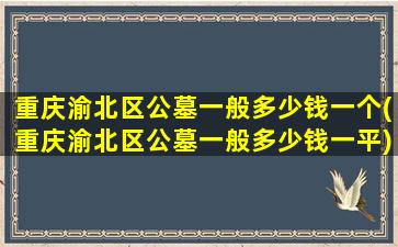 重庆渝北区公墓一般多少钱一个(重庆渝北区公墓一般多少钱一平)