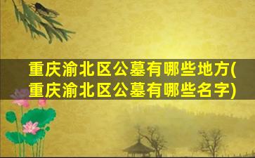 重庆渝北区公墓有哪些地方(重庆渝北区公墓有哪些名字)
