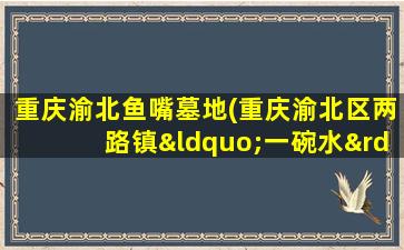 重庆渝北鱼嘴墓地(重庆渝北区两路镇“一碗水”这个地名是怎么得来的)